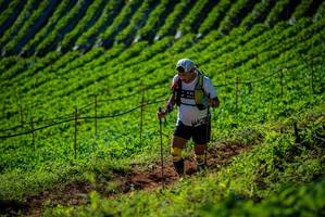 BIB: 
                            <button type="button" onclick="openModal(19161120)" class="btn btn-primary btn-sm float-right btn-popup" data-toggle="modal" data-target=".modal-high-quality">
                        <i class="fas fa-shopping-cart"></i> Add to Cart
                    </button>
                                            <button type="button" onclick="isThisMe(19161120, true)" class="btn btn-success btn-sm float-right btn-popup btn-isme hidden" data-toggle="tooltip" data-placement="bottom" title="นี่คือรูปของคุณใช่ไหม คลิกที่นี่เพื่อเอาเข้าอัลบั้ม">
                        <i class="fas fa-plus"></i> Add to album
                    </button>
                    <button type="button" onclick="isThisMe(19161120, false)" class="btn btn-warning btn-sm float-right btn-popup btn-isnotme hidden">
                        <i class="fas fa-ban"></i> Remove from album
                    </button>